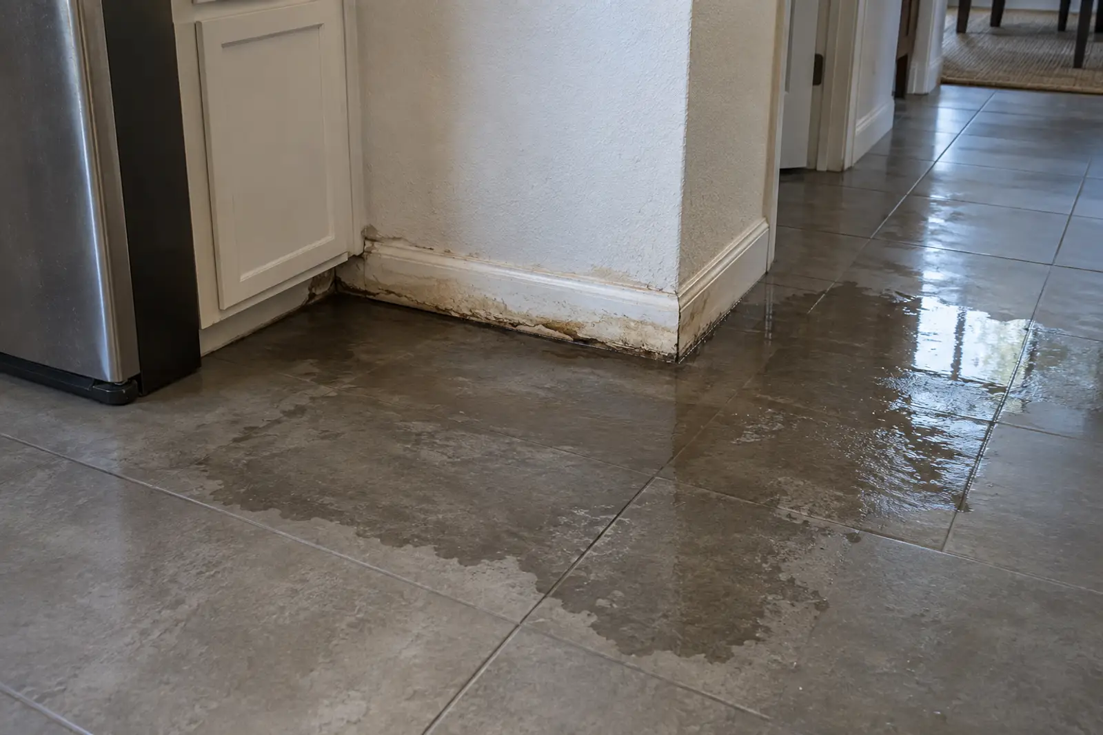 Water seeping up across a floor from the base of a wall